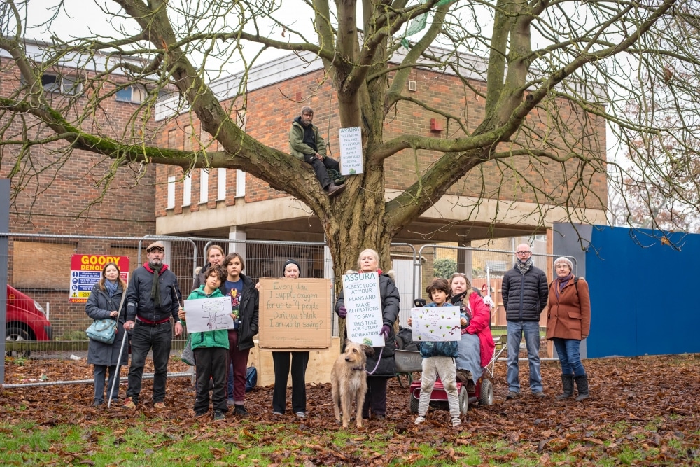 Tonbridge's conker tree is saved - for now - after week-long vigil